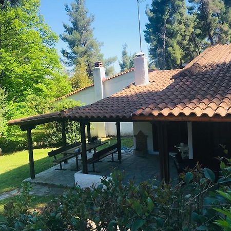 Sani Garden House Villa Bagian luar foto