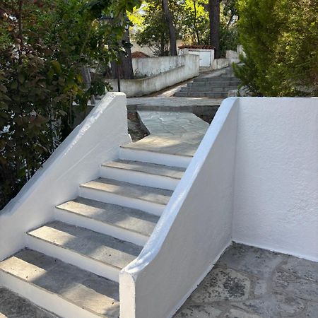 Sani Garden House Villa Bagian luar foto