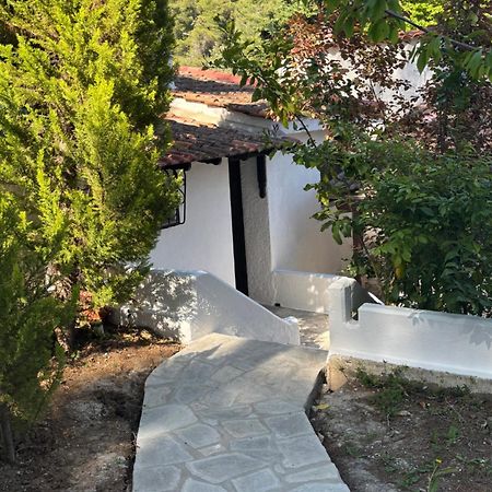 Sani Garden House Villa Bagian luar foto